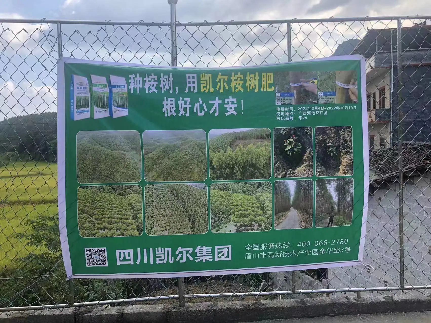 凱爾國際——桉樹種植交流會